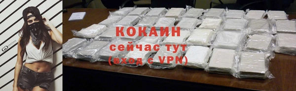 ПСИЛОЦИБИНОВЫЕ ГРИБЫ Корсаков