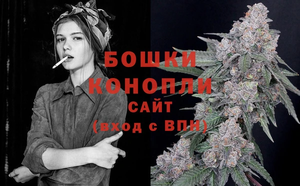 ПСИЛОЦИБИНОВЫЕ ГРИБЫ Корсаков