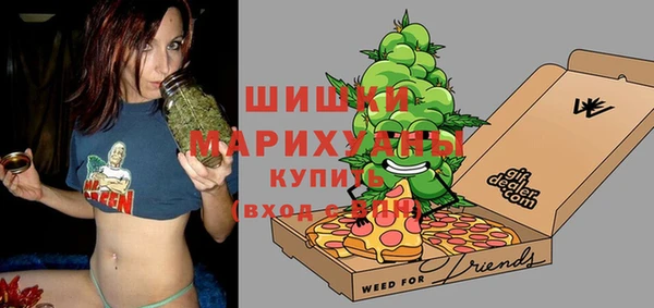 ПСИЛОЦИБИНОВЫЕ ГРИБЫ Корсаков