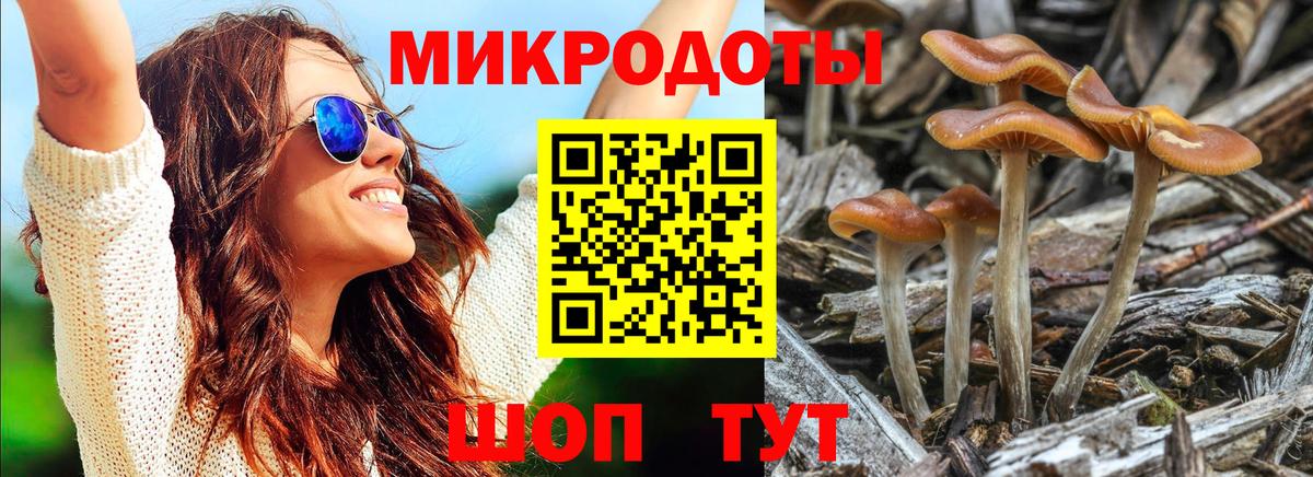 Галлюциногенные грибы Psilocybe  Вход с VPN  Альметьевск 