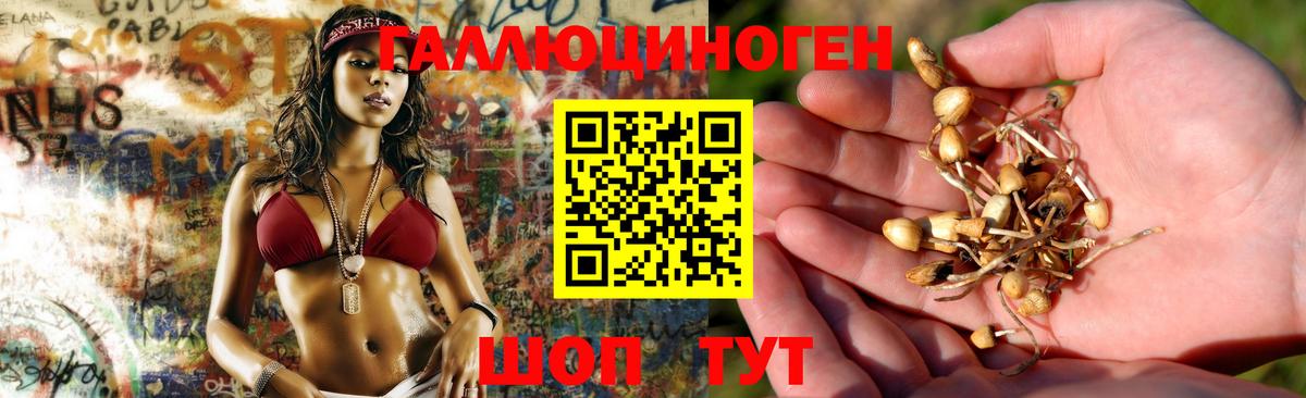Галлюциногенные грибы Cubensis  Альметьевск  Псилоцибиновые грибы MAGIC MUSHROOMS 